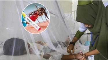 ডেঙ্গুতে সংক্রমণ ৬০ হাজার ছুঁই ছুঁই