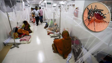 ডেঙ্গুতে একদিনে ৫ জনের প্রাণ গেল, হাসপাতালে ১১৪৭