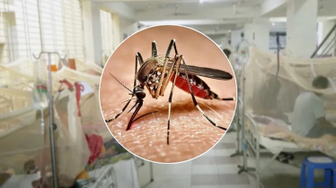 ডেঙ্গু আক্রান্ত হয়ে আরও ৬ জনের প্রাণহানি