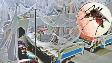 ডেঙ্গুতে আরো ৪ জনের মৃত্যু, হাসপাতালে ভর্তি ৭৮১ জন