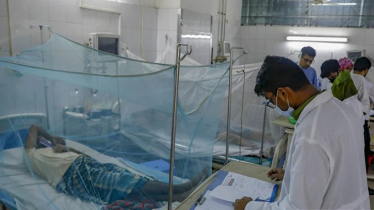 ডেঙ্গুতে চলতি বছর এ পর্যন্ত ৪২ মৃত্যু
