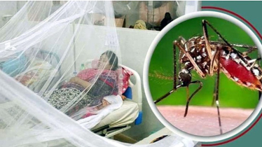 ডেঙ্গুতে আরও ২ জনের মৃত্যু, হাসপাতালে ভর্তি ৩২৬ জন