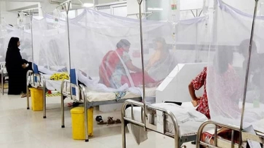 ডেঙ্গুতে ২৪ ঘণ্টায় ৩ জনের মৃত্যু, হাসপাতালে ভর্তি ৪৯২