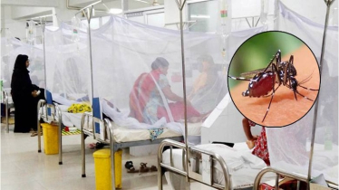 ডেঙ্গুতে আরও ২ জনের মৃত্যু, হাসপাতালে ভর্তি ৩৩০