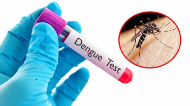 ডেঙ্গুতে একদিনে ঢাকাতেই ৪ মৃত্যু, হাসপাতালে ৫৬৮