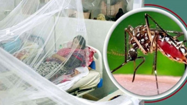 ডেঙ্গুতে একদিনে ৫ জনের মৃত্যু, হাসপাতালে ভর্তি ৬৬৮