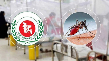 গত ২৪ ঘণ্টায় আটশোর বেশি নতুন ডেঙ্গু রোগী হাসপাতালে ভর্তি
