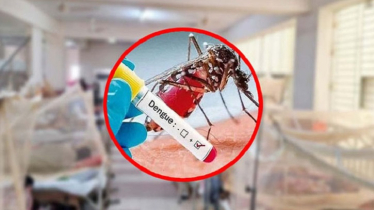 ডেঙ্গুতে এক দিনে আক্রান্তের রেকর্ড, মশা নিয়ন্ত্রণে সমন্বিত অভিযানের নির্দেশ