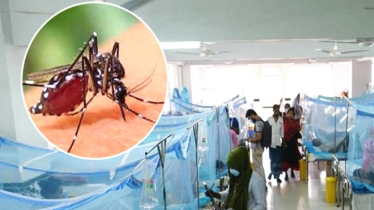 একদিনে ডেঙ্গুতে ৯ জনের মৃত্যু, হাসপাতালে ভর্তি দেড় হাজারেও বেশি