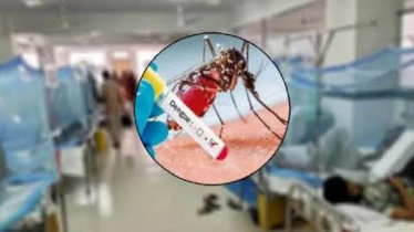 ২৪ ঘণ্টায় ডেঙ্গু কেড়ে নিল ৬ প্রাণ, মৃত্যু ২০০ ছাড়াল