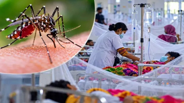 ডেঙ্গুর দাপট অব্যাহত, একদিনে ৯ জনের মৃত্যু