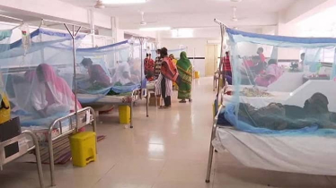 ডেঙ্গুতে প্রাণ গেল আরও ১২ জনের ডেঙ্গুতে প্রাণ গেল আরও ১২ জনের