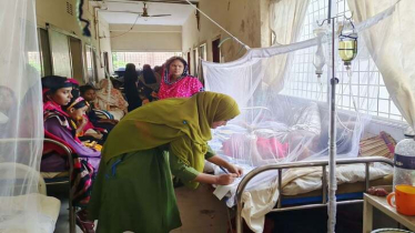 ডেঙ্গুতে মৃত্যু ১৩শ’ ছাড়াল