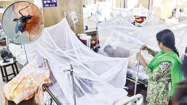 ডেঙ্গুতে ৫ জনের মৃত্যু, হাসপাতালে ভর্তি ৩১১