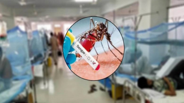 ২৪ ঘণ্টায় ডেঙ্গুতে ১২ জনের মৃত্যু, হাসপাতালে ভর্তি  ৭৪০ জন