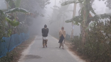 দিনাজপুরে আগেভাগে শীত অনুভূত, ঘন কুয়াশায় সূর্যের দেখা নেই দিনাজপুরে আগেভাগে শীত অনুভূত, ঘন কুয়াশায় সূর্যের দেখা নেই