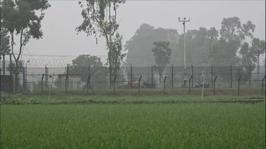 গোবিন্দপুর সীমান্তে ১২ জনকে পুশইনের চেষ্টা, রুখে দিল বিজিবি গোবিন্দপুর সীমান্তে ১২ জনকে পুশইনের চেষ্টা, রুখে দিল বিজিবি