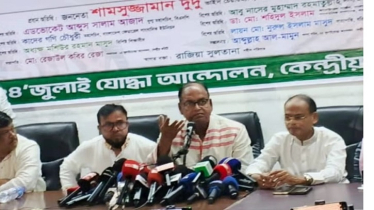 দেশে যা কিছু ঘটছে তার দায় বিএনপির ঘাড়ে চাপানো অনুচিত: দুদু