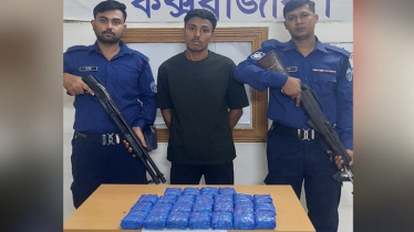 মুরগির খামারে মিললো ৫০ হাজার পিস ইয়াবা