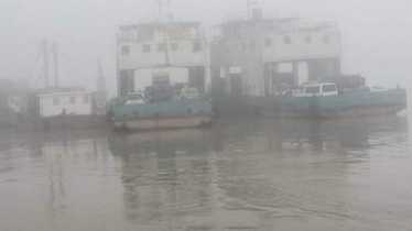 ঘন কুয়াশায় দৌলতদিয়া-পাটুরিয়া রুটে ফেরি চলাচল বন্ধ ঘন কুয়াশায় দৌলতদিয়া-পাটুরিয়া রুটে ফেরি চলাচল বন্ধ