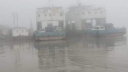 ঘন কুয়াশায় দৌলতদিয়া-পাটুরিয়া রুটে ফেরি চলাচল বন্ধ