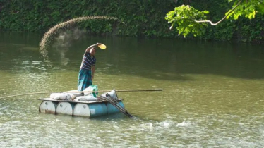 চাষের মাছে গন্ধ হয় কেন, কী করলে গন্ধ থাকবে না?