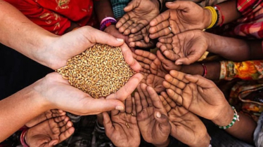 দেশে খাদ্য সংকটের ঝুঁকিতে ১ কোটি ৮১ লাখ মানুষ