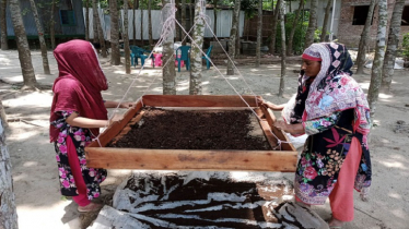 গোয়ালন্দে ভার্মি কম্পোস্ট সার উৎপাদন করে স্বাবলম্বী অর্ধশতাধিক নারী