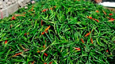 রাজধানীতে কাঁচা মরিচের কেজি ৩০০ টাকা