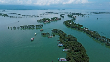 টাঙ্গুয়ার হাওরের সংরক্ষিত এলাকায় হাউসবোট প্রবেশে নিষেধাজ্ঞা