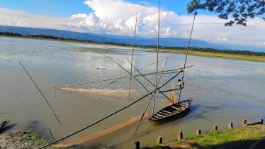 বাবার সঙ্গে মাছ ধরতে গিয়ে তরুণের মৃত্যু