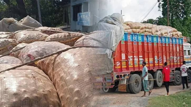 ভারত থেকে পেঁয়াজ আমদানি