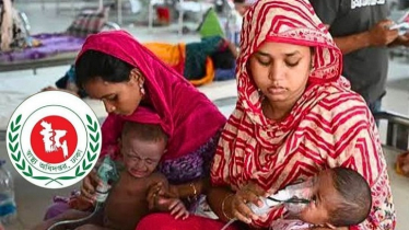ক্রমেই ভয়াবহ রূপ নিচ্ছে ডেঙ্গু, একদিনেই ৬ মৃত্যু