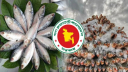 দুর্গাপূজায় ইলিশ চায় ভারত, মন গলবে বাংলাদেশের?