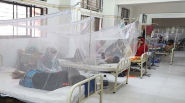 ডেঙ্গুতে মৃত্যু ১৫শ’ ছাড়াল ডেঙ্গুতে মৃত্যু ১৫শ’ ছাড়াল