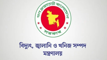 জ্বালানি তেল তদারকিতে সারাদেশে ভিজিলেন্স টিম গঠন