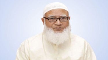 ‘রাজনৈতিক অংশীজনদের সঙ্গে কথা বলে আ. লীগ নিষিদ্ধ করলে ভালো হতো’