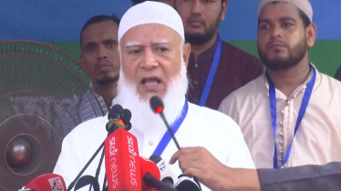 ‘হ্যাঁ’ মানে আজাদি, আর ‘না’ মানে গোলামি: জামায়াত আমির