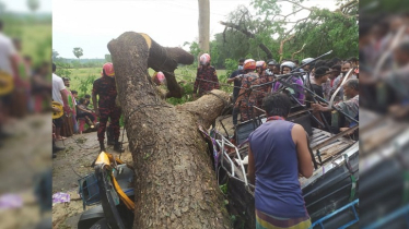 নববর্ষের দিন কালবৈশাখী ঝড়ে শতাধিক ঘরবাড়ি বিধ্বস্ত