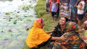 বাওড়ে শাপলা তুলতে গিয়ে পানিতে ডুবে ভাই-বোনের মৃত্যু