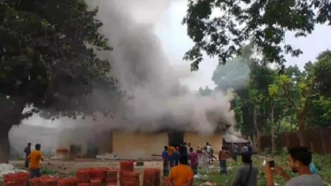 যশোরের খামারে আগুন, পুড়ল ৪৪ হাজার মুরগি 