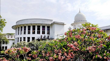 জুলাই আন্দোলনে শহিদদের ‘জাতীয় বীর’ কেন ঘোষণা নয়, জানতে চেয়ে হাইকোর্টের রুল