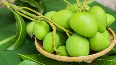 চলছে কাঁচা আমের মৌসুম, জেনে নিন খাওয়ার উপকারিতা