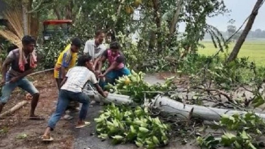 কালবৈশাখী ঝড়ে ১ ঘণ্টা ঢাকা-খুলনা মহাসড়কে যান চলাচল বন্ধ