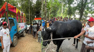 বেগম খালেদা জিয়াকে উপহার দিতে,৩৫ মণ ওজনের‘কালো মানিক’ নিয়ে ঢাকার পথে সোহাগ