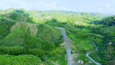 খাগড়াছড়িতে দুর্বৃত্তের গুলিতে নিহত ৩