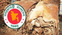 কোরবানির পশুর চামড়ার মূল্য নির্ধারণ করে দিলো সরকার