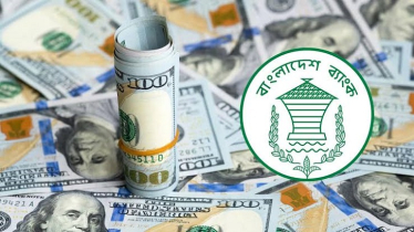 দেশের বৈদেশিক মুদ্রার রিজার্ভ ৩৬.৬৬ বিলিয়ন ডলার