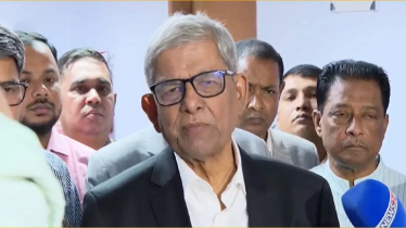 আগামী বছরের প্রথম দিকে স্থানীয় সরকার নির্বাচন : মির্জা ফখরুল