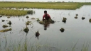 ঘণ্টায় ঘণ্টায় বাড়ছে পানি, দুই নদীর পানি বিপৎসীমার ওপরে